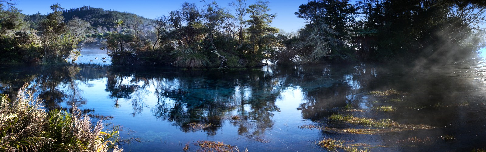 Te Waikorupupu Springs, Golden Bay, New Zealand