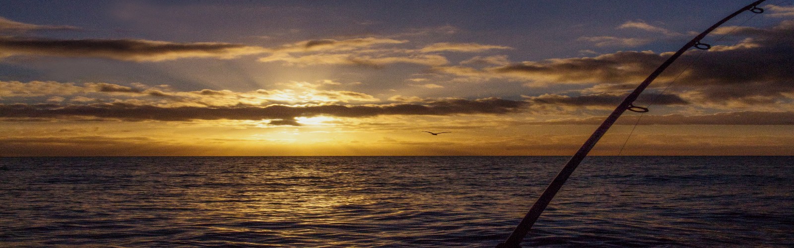 Sunrise on the Tasman Sea