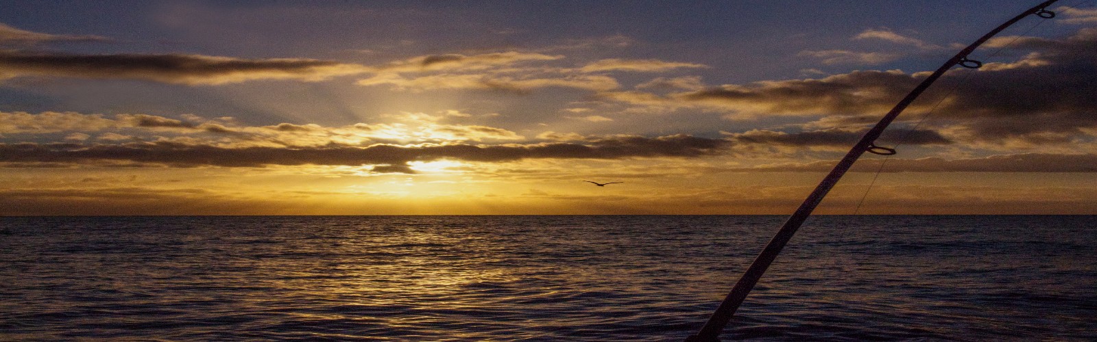 Sunrise on the Tasman Sea