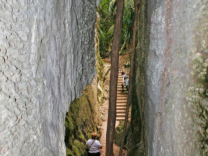 The Grove Scenic Reserve